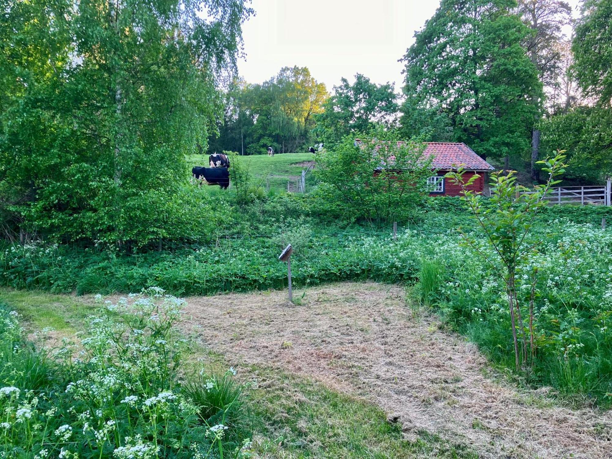 Lidhem Herrgard. Bed & Breakfast Och Mindre Laegenheter Vimmerby Exterior photo